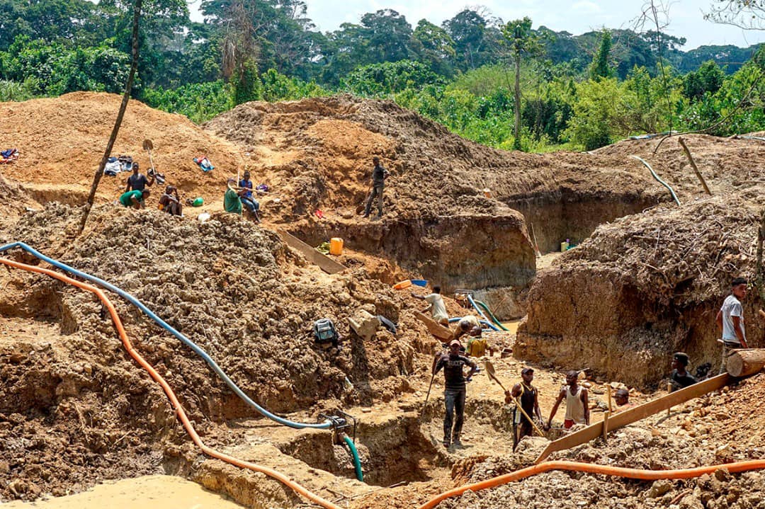 Tshopo : les forces vives de Banalia s’opposent à l’exploitation ...